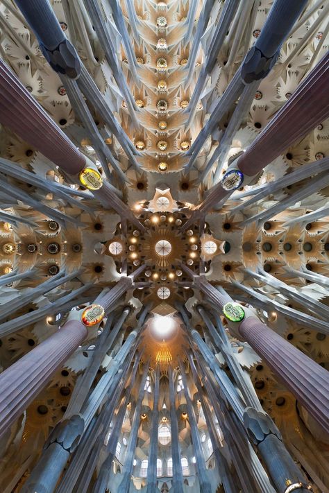 Antoni Gaudi Architecture Biomimicry Architecture, Gaudi Architecture, Blue Mosaic Tile, Gaudi Barcelona, Antonio Gaudí, Stone Facade, Antoni Gaudi, Organic Architecture, Sustainable Architecture