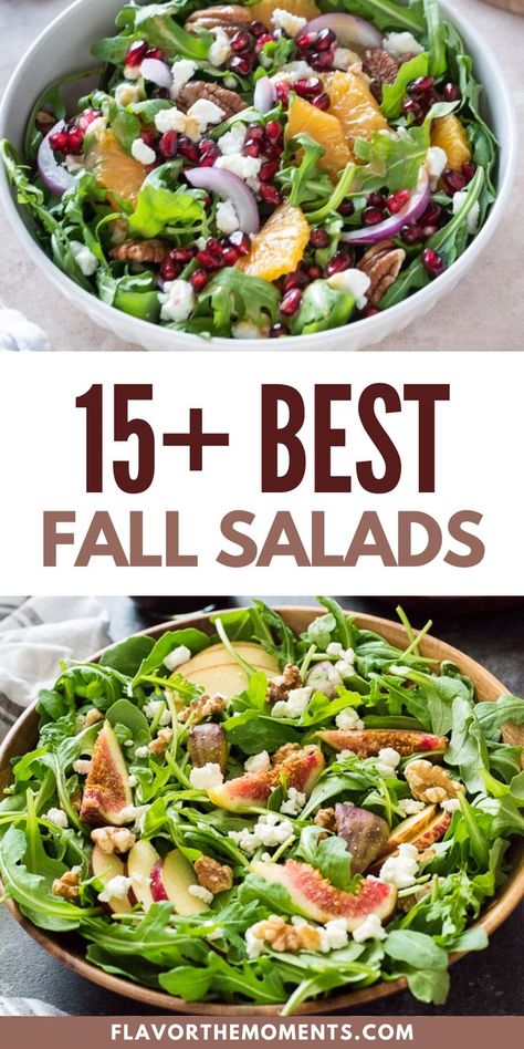 Enjoy some greens with one of these 15+ Best Fall Salads. Fall may be about cozy comfort food for most, but this time of year I always look forward to fall salad recipes packed with some of my favorite ingredients of the season. Of course my summer salad recipes have a special place in my heart, but these fall salads are my absolute favorite. Each of these recipes are festive and magical in their own rite, whether they incorporate figs, persimmon, pomegranate, pears, apple, brussels sprouts. Fall Salad Recipes For Parties, Fall Salad Recipes Meal Prep, Easy Harvest Salad, Salad Recipes For Fall, Fall Winter Salads, Winter Dinner Salad, Affordable Salad Recipes, Salads For Dinner Party, Fall Salad Recipes Healthy