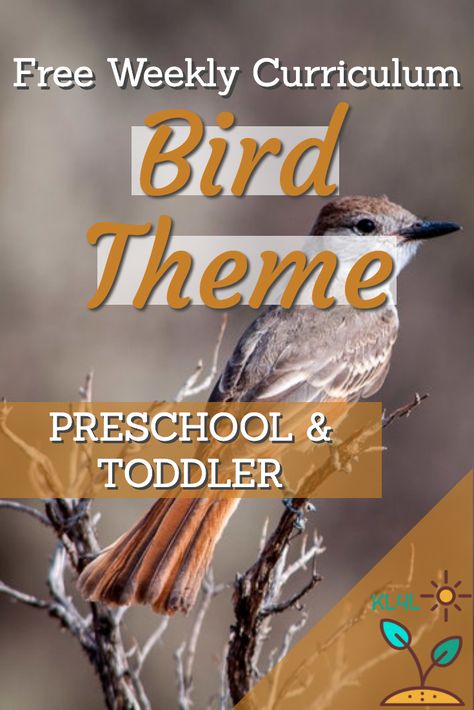 Preschool Lessons About Birds, Bird Themed Activities For Preschoolers, Birds Lesson Plans For Toddlers, Bird Ideas For Preschoolers, All About Birds Preschool, Learning About Birds Preschool, Bird Week Preschool Activities, Bird Lesson Plans For Toddlers, Birds Lesson Plans Preschool