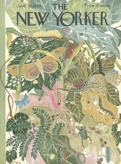 Ilonka Karasz : Cover art for The New Yorker 1062 - 23 June 1945 Doodle Leaves, New Yorker Cover, The New Yorker Magazine, New Yorker Magazine, New Yorker Covers, Illustration Botanique, Tropical Forest, Art Et Illustration, Art Collage Wall