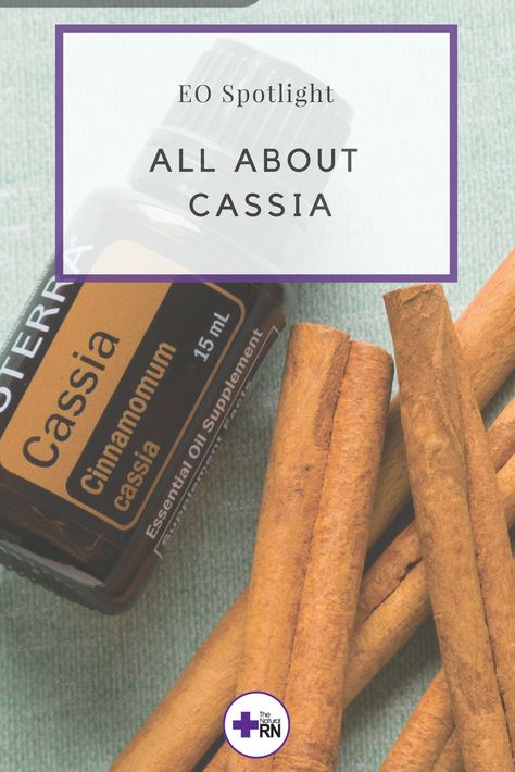 Cassia essential oil has a sweet, spicy aroma similar to cinnamon and has warming and uplifting properties. Cassia supports the digestive and circulatory systems. Aromatically, Cassia has emotionally uplifting effects. Cassia Essential Oil Uses, Cassia Essential Oil, Circulatory System, Essential Oil Benefits, Healthy Digestion, Doterra Oils, Oil Uses, Natural Wellness, Essential Oil Uses