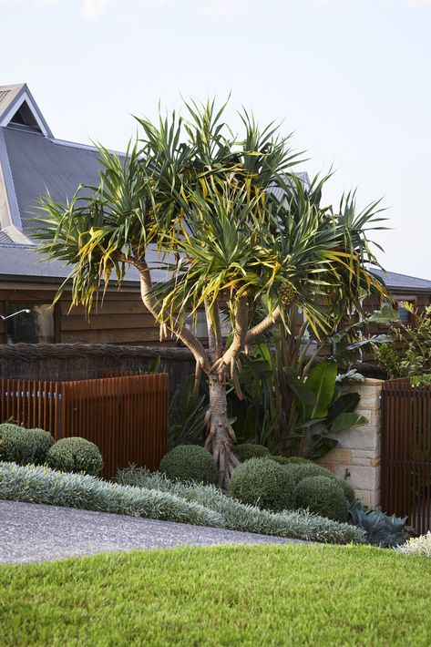 Modern Coastal Garden, Modern Coastal Landscaping, Coastal Garden Ideas, Coastal Landscaping Ideas, Verge Garden, Corner Fence, Hamptons Garden, Garden Ideas Uk, Sustainable Landscape