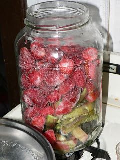 Rhubarb Wine, Homemade Alcohol, Homemade Liquor, Wine Recipe, My Favorite Books, Liquor Drinks, Homemade Wine, Rhubarb Recipes, Strawberry Rhubarb