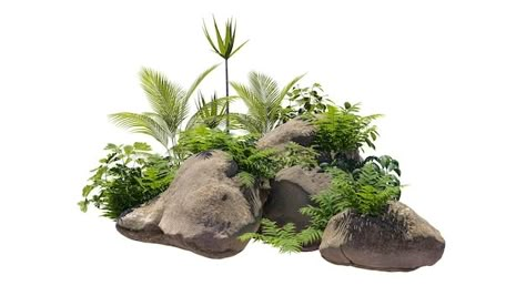 Shrubs For Landscaping, Photo Cutout, Garden Art Ideas, Photo Wall Gallery, Landscape Elements, Clipping Masks, Farmhouse Garden, Rock Garden Landscaping, Photoshop Elements