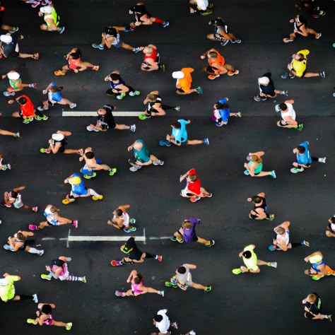 New study shows that diet has major impact on gut biomes – Harvard Gazette Beginner Half Marathon Training, Race Calendar, Marathon Tips, Marathon Gift, Running A Marathon, Running Pace, Half Marathon Training Plan, 5k Race, Running Marathon