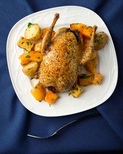 Pan roasted grouse recipe Partridge Recipes, Partridge Recipe, Grouse Recipes, Dove Recipes, Pheasant Recipes, Quail Recipes, Bird Recipes, How To Cook Zucchini, Gamebirds