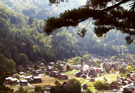 A view from above on the village of Shirakawa-go, Japan's most scenic village Village From Above, Japan Honeymoon, Things To Do In Japan, Shirakawa Go, Japan Itinerary, View From Above, Japan Travel Tips, Perfect Itinerary, Visit Japan