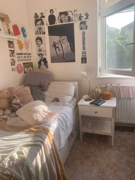 Harry Styles Coded Bedroom, Harry Coded Room Decor, Harrycore Room, Harry Styles Coded Room, Harry Coded Room, Harry Core Aesthetic, Harry Styles Bedroom, Harry Styles Room Decor, Fangirl Bedroom