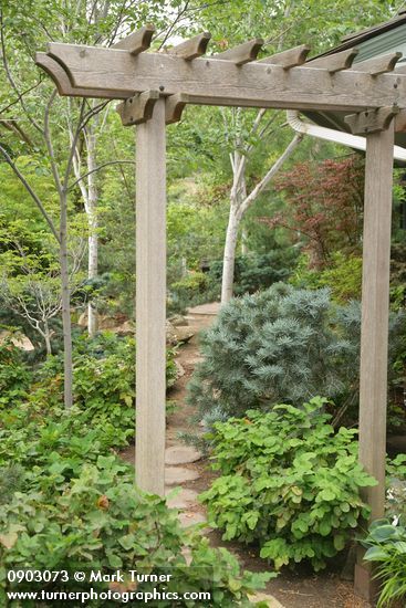 Simple Arbor Simple Arbor, Curved Pergola, Wooden Arbor, Arbors Trellis, Steel Pergola, Garden Vines, Garden Arbor, Garden Entrance, Backyard Pergola