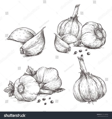 Cartoon Veggies, Food Sketch, Object Drawing, Still Life Drawing, Sketch Illustration, Drawing Set, Food Drawing, Vector Hand, Herbs And Spices