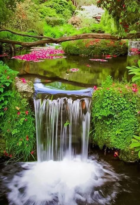 Waterfall Pool, Devon, England Waterfall Pool, Inner Landscape, Beautiful Scenes, Devon England, Beautiful Waterfalls, Water Feature, Alam Yang Indah, Pretty Places, Lush Green