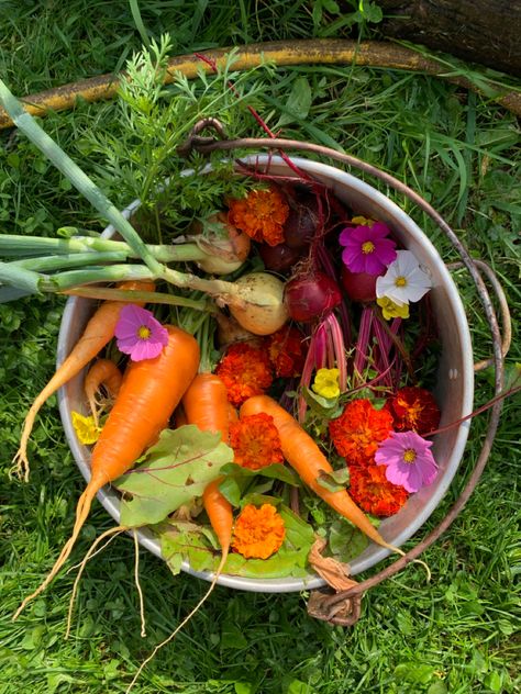 Garden Harvest Basket, Harvest Aesthetic, Basket Aesthetic, Cute Garden, Harvest Basket, Summer Harvest, Gardening Flowers, Garden Harvest, Aesthetic Flowers