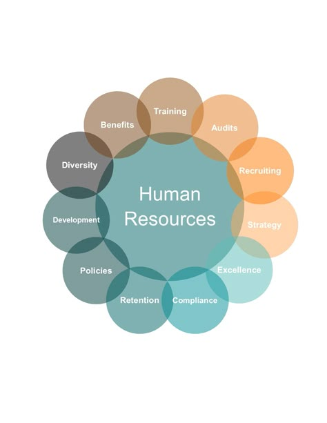 {What-Not-To-Do Wednesday} Don't ignore your HR function. It can be a valuable tool to catapult your business, protect your bottom-line, and create a culture of excellence when given proper attention. Most business owners are overwhelmed by keeping up with employee issues and employment law. The good news is you don't have to keep struggling. Just like you outsource your accounting, your web design, or your janitorial, you can outsource your HR function. Find out how here: www.EliteHRTeam.co... People And Culture Hr, Hr Manager Aesthetic, Human Resources Ideas, Human Resources Aesthetic, Hr Aesthetic, Hr Resources, Hr Coordinator, Hr Functions, Hr Day