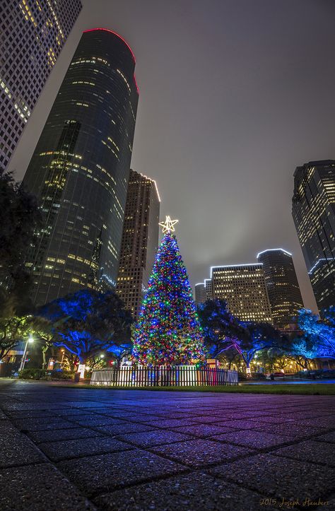 Houston Christmas, Downtown Houston Texas, Dark Academia Christmas, Green Christmas Tree Decorations, Texas Winter, Friendsgiving Decorations, Texas Christmas, Houston City, Christmas World