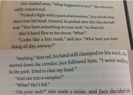 Alec And Magnus Book, Alec Lightwood Quotes, Malec Quotes, Malec Book, Alec And Jace, Shadowhunters Series, City Of Ashes, Magnus And Alec, Cassie Clare