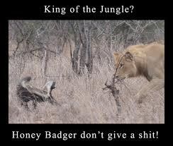 He'll love this one! Honey Badger Meme, Honey Badger Humor, Badger Images, Fun Facts About Animals, Dog Jokes, Honey Badger, Animal Facts, Funny Animal Memes, Know Your Meme