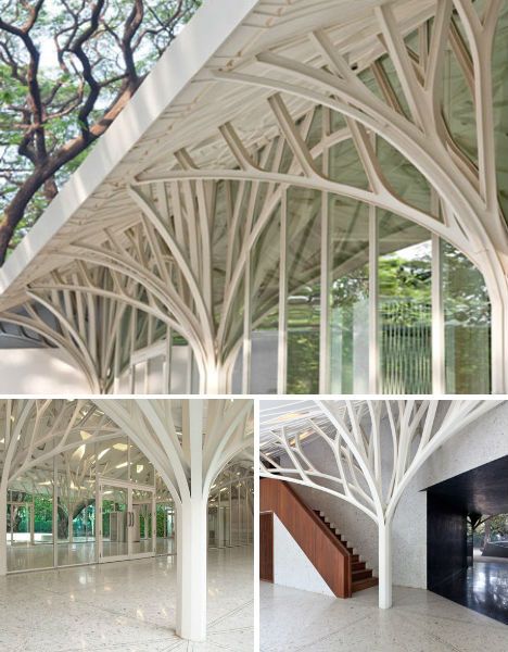 This banqueting hall in Mumbai, India looks almost elvish with its white branches, which give the impression of an avenue of snow-covered trees. The design, which was part of a renovation of historic colonial buildings in India, was partially inspired by the beautiful ‘rain trees’ that surround the site. Tree Architecture, Tree Structure, White Branches, Column Design, Structure Architecture, Organic Architecture, Banquet Hall, Architectural Inspiration, Beautiful Architecture