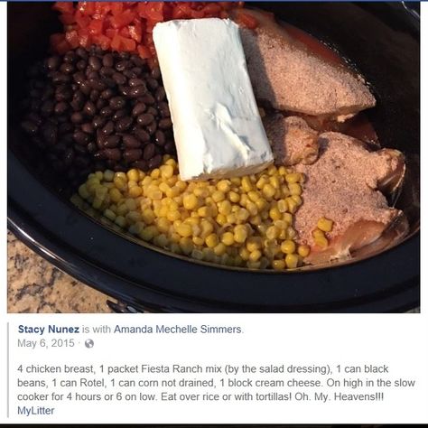 If you can't find the Hidden Valley Fiesta Ranch dip mix, you can substitute 1/2 pkg. taco seasoning mix and 1/2 pkg. Hidden Valley Ranch dip mix. Fiesta Chicken Crockpot Recipe, Fiesta Chicken Crockpot, Cream Cheese Chicken Chili, Chicken Crockpot Recipes Healthy, Fiesta Chicken, Chicken Crockpot Recipes Easy, Chicken Crockpot, Ranch Dip, Cream Cheese Chicken