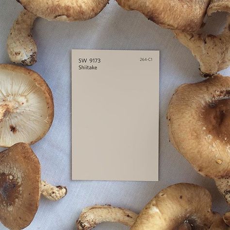 Shiitake SW 9173 is an earthy neutral tone perfect for grounding any room in your house. Sherman Williams, Interior Wall Colors, Favorite Soups, Greige Paint Colors, Family Room Makeover, Homes Exterior, Floor Paint, Neutral Paint Color, Kitchen Refresh