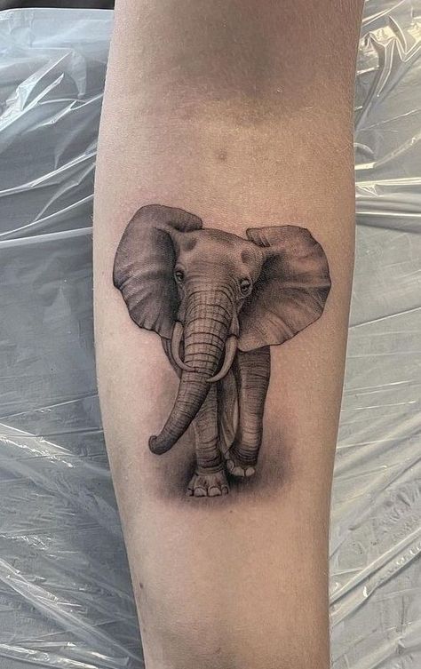 Traditional Tattoo Elephant, Elephant Memorial Tattoo, Arm Elephant Tattoo, Tattoos Elephant, Elephant Tattoo Meaning, Arm Tattoos For Guys Forearm, Any Tattoo, Totem Tattoo, Basic Tattoos