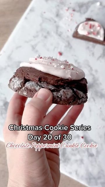 Christmas Crinkle Cookies Recipe, Peppermint Chip Cookies, Peppermint Crinkle Cookies Recipe, Chocolate Peppermint Crinkle Cookies, Christmas Crinkle Cookies, Chocolate Crinkle Cookies Recipe, Baking Challenge, Peppermint Fudge, Frosted Cookies