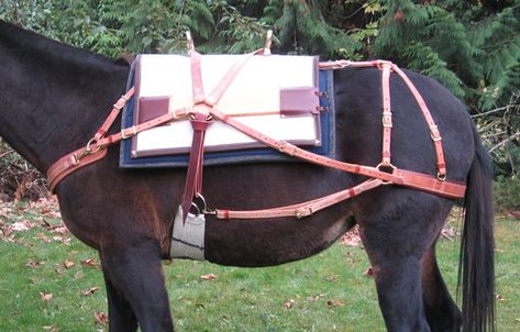 Custom Decker Pack Saddles by Chris Tornow Pack Saddle, Horse Camp, Saddle Accessories, Cowboy Gear, Horse Equipment, Horse Gear, Horse Saddles, Horse Training, Trail Riding