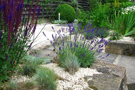 10 Plants That Can Grow in Poor Soil Garden Retaining Wall, Flowering Succulents, Drought Tolerant Garden, Waterwise Garden, Rock Garden Plants, Dry Garden, Gravel Garden, Water Wise, Drought Tolerant Plants