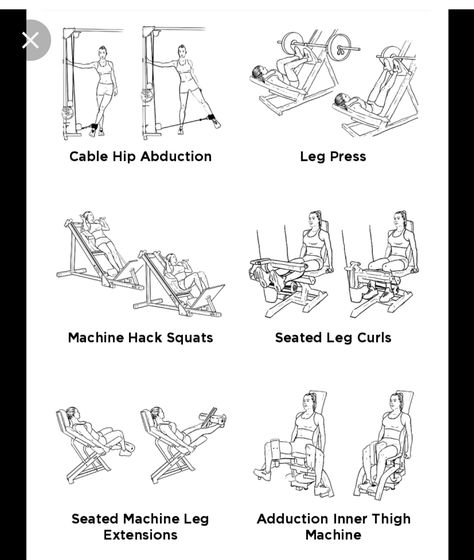 Inner Leg Workouts, Gym Workouts Machines, Seated Leg Curl, Leg Workouts Gym, Squat Press, Leg Press Machine, Inner Thigh Workout, Gym Machines, Leg Day Workouts