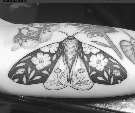 Puriri Moth Tattoo, Ornamental Moth Tattoo, Floral Moth Tattoo, Traditional Moth Tattoo, Cute Moth, Choose Her, Tattoo Hand, Tattoo Templates, Why Her