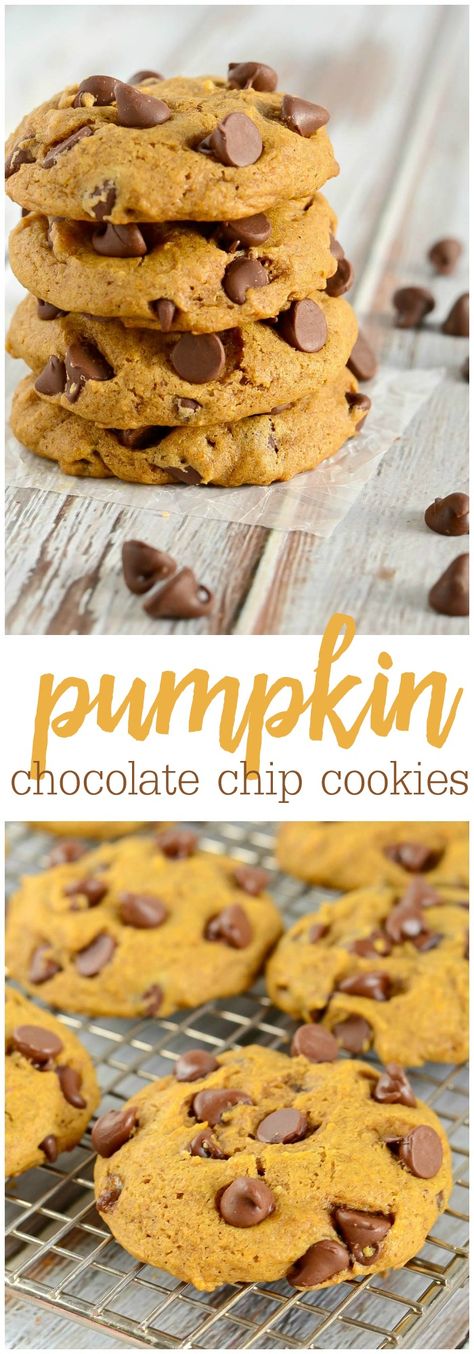 These Pumpkin Chocolate Chip Cookies are SO soft and fluffy, they're almost like a cake. Filled with pumpkin flavor, and chocolate chips, these cookies have just the right amount of seasonal spices. This Pumpkin Chocolate Chip Cookie recipe is sure to become a fall staple in your home. Pumpkin Chocolate Chip Cookies Recipe, Soft Pumpkin Chocolate Chip Cookies, Chewy Chocolate Chip Granola Bars, Chocolate Chip Granola Bars, Resepi Biskut, Diy Easy Recipes, Chocolate Chip Cookies Recipe, Pumpkin Chocolate Chip, Pumpkin Chocolate Chip Cookies