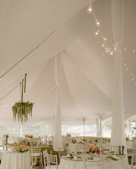 Wedding Ceiling, Black Lights, Tent Lighting, Tent Rentals, Tent Wedding, Event Rental, Summer Sale, String Lights, Floral Wedding