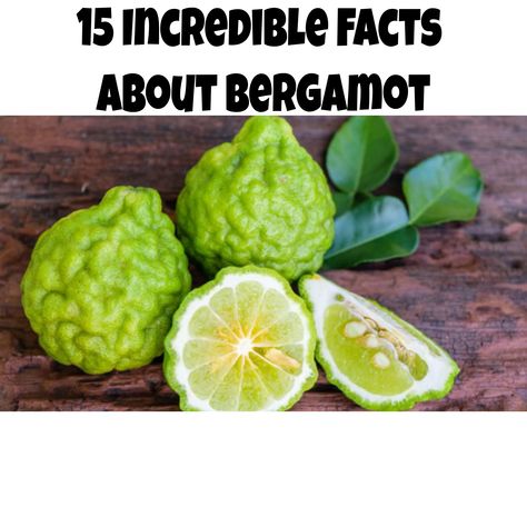 Bergamot (or orange-bergamot) is a hybrid plant species obtained by crossing an orange and a citron. Its name comes from the Italian word “bergamotto”, derived from the name of the city of Bergamo in Italy, where bergamot oil was first produced and sold. Bergamot is known for being used in the production of flavored teas such as ‘Earl Gray’. But this is not the only use of bergamot and we will talk about this later. Bergamot Tea, Home Steading, How To Grow Lemon, Kefir Recipes, Bergamot Orange, Healthy Cholesterol Levels, Bergamot Essential Oil, Kaffir Lime, Bergamot Oil