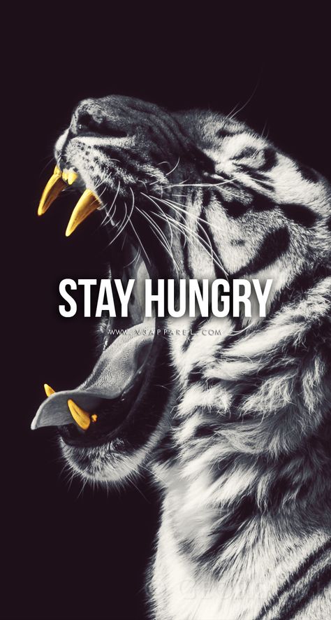 Stay Hungry. Head over to www.V3Apparel.com/MadeToMotivate to download this wallpaper and many more for motivation on the go! / Fitness Motivation / Workout Quotes / Gym Inspiration / Motivational Quotes / Motivation Fitness Motivation Wallpaper, Mens Fitness Motivation, Gentlemens Guide, Fitness Wallpaper, Fitness Humor, Lion Quotes, Stay Hungry, Wallpaper Inspiration, Motivational Wallpaper