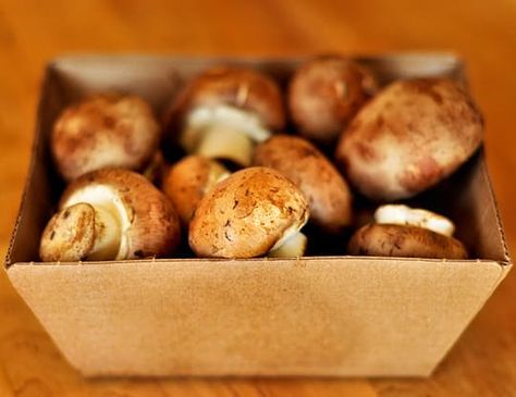 2 Ways to Store Mushrooms Store Mushrooms In Fridge, How To Store Mushrooms, How To Store Potatoes, Waffle Cookies, Lunch Appetizers, Rice Ingredients, My Shopping List, Food History, How To Store