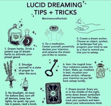 Lucid Dreaming Tips, Mountain Witch, Clairvoyant Psychic Abilities, Daglig Motivation, Dream Herbs, Psychic Development Learning, Easy Love Spells, Setting Intentions, Witch Spirituality