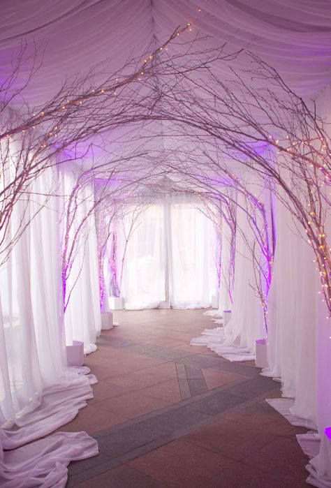 Branch archway wedding reception entrance Winter Wonderland Party Theme, Wedding Branches, Prom Themes, Winter Dance, Inside Weddings, Aspen Wedding, Dance Themes, Prom Theme, Winter Wedding Decorations