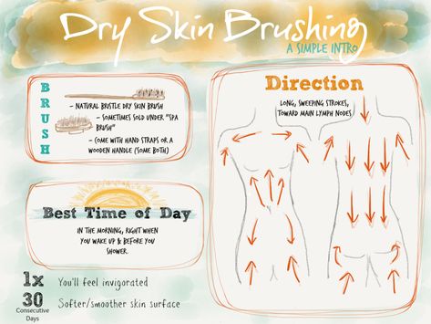 Dry Brushing Skin, Lymph Massage, Dry Body Brushing, Skin Brushing, Body Organs, Practical Magic, Body Brushing, Body Systems, Smoother Skin