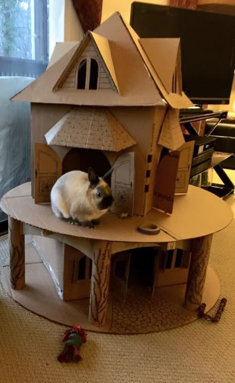 Bunny Castle, Diy Bunny Toys, Katt Diy, Rabbit Enclosure, Bunny Hutch, Bunny Room, Pet Bunny Rabbits, Indoor Rabbit, Bunny Care