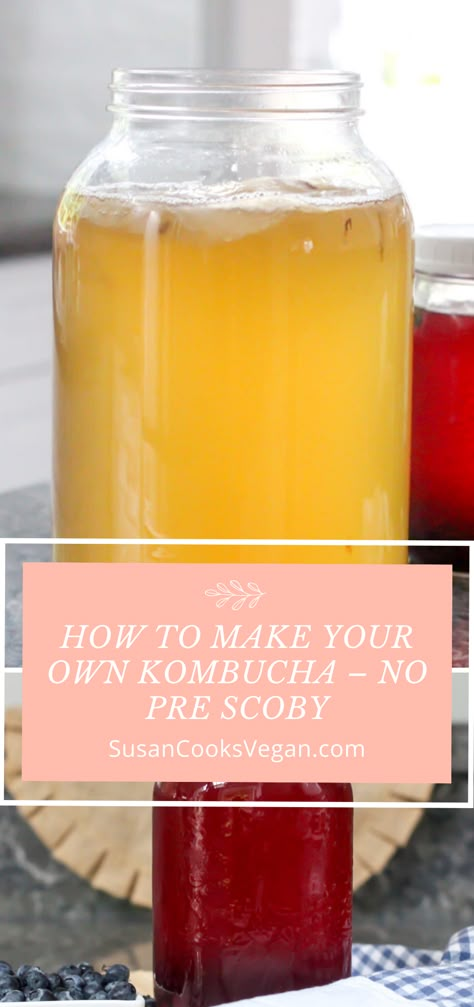 Scoby Recipes, Scoby Recipe How To Make, How To Make A Scoby, How To Grow A Scoby From Scratch, Hard Kombucha Recipe, Kombucha Scoby Recipes, Homemade Kombucha Scoby, How To Make A Scoby For Kombucha, How To Start A Scoby For Kombucha