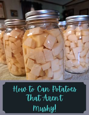 How to Can Potatoes That Aren't Mushy! Canning Diced Potatoes, Pressure Can Potatoes, Ways To Preserve Potatoes, How To Can Potatoes In Pressure Cooker, How To Dry Can Potatoes In Pressure Cooker, Canning Mashed Potatoes, Canning Potatoes Without Pressure Cooker, Long Term Potato Storage, Canning Russet Potatoes