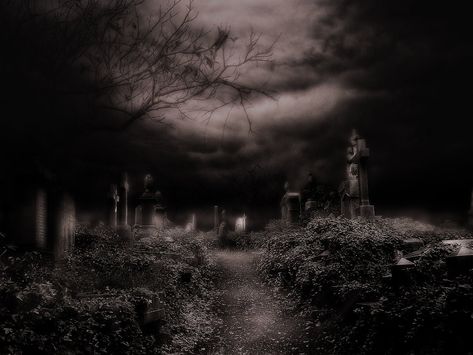 #Dark #Cemetery #Creepy #Gothic #Graveyard #720P #wallpaper #hdwallpaper #desktop Gothic Pc Wallpaper, Graveyard Wallpaper, Dark Graveyard, Graveyard Aesthetic, Gothic Graveyard, Scary Backgrounds, Gothic Wallpaper, Drawing Wallpaper, Dark Pictures