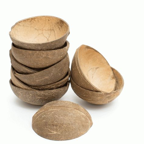 Natural Coconut Shell Bowl - 10 Pack Medium Coconut Shell Bowl, Shell Bowls, Shell Table, Natural Packaging, Coconut Products, Coconut Shell Crafts, Palm Leaf Plates, Coconut Bowls, Catering Industry