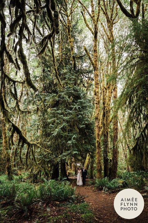 Do you dream of a moody forest elopement or an intimate wedding in the mountains? If so, then an Olympic National Park elopement might just be for you! From old-growth rainforests to rugged beaches to stunning mountain ranges, eloping in Olympic National Park allows you to experience some of the best scenery Washington State has to offer. On the blog I am sharing my top tips, resources, and inspiration to help you plan your very own Olympic National Park wedding. Best Scenery, Moody Forest, Olympic National Forest, Wedding In The Mountains, Forest Elopement, How To Elope, National Park Elopement, Park Elopement, National Park Wedding