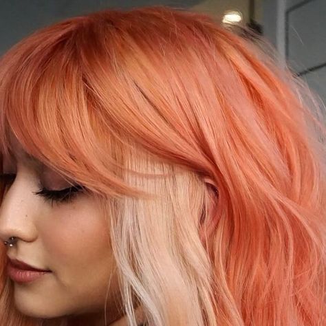 Beautifinder.com™️ on Instagram: "Beautiful peach color block created by @melodyshadez #peach #peachhair #colorblock #colorist #coloredhair #haircolor #haircrush #hairenvy #beautifulhair #hairtrends #hairart #style #beautifinder #beautylaunchpad #behindthechair #modernsalon #pulpriothair #schwarzkopfusa #redken" Strawberry Cheesecake Hair, Pink And Ginger Hair, Coral Hair Color, Pink Peach Hair, Colorblock Hair, Coral Hair, Pulp Riot Hair, Peach Hair, Hair Crush