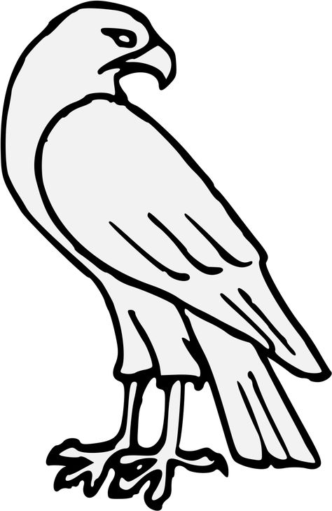 Eagle Drawing Easy, Hawk Drawing, American Flag Clip Art, Falcon Drawing, Bird Line Drawing, Eagle Drawing, Realistic Sketch, Eagle Pictures, Drawing Clipart