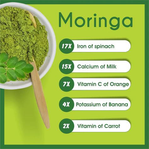 Benefits Of Moringa, Moringa Benefits, Moringa Leaf Powder, Moringa Leaves, Moringa Powder, Green Superfood, Healthy Cholesterol Levels, Herbs For Health, Natural Herbs