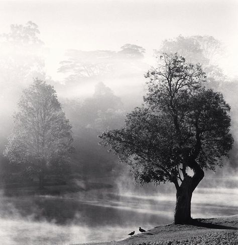 Huangshan Mountains, Edward Weston, Robert Frank, Jardin Des Tuileries, Black And White Landscape, Gelatin Silver Print, History Of Photography, Great Photographers, Magnum Photos