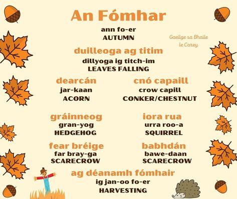 GAEILGE SA BHAILE le corey 🌛 | An Fómhar 🍂 #ulsterirish #learnirish #ulsterdialect #LearnALanguage #Irish #vocabulary #language #gaeilgeuladh #gaeilgeoir… | Instagram Irish Vocabulary, Scarecrow, Autumn Leaves, Vocabulary, Quick Saves, Instagram