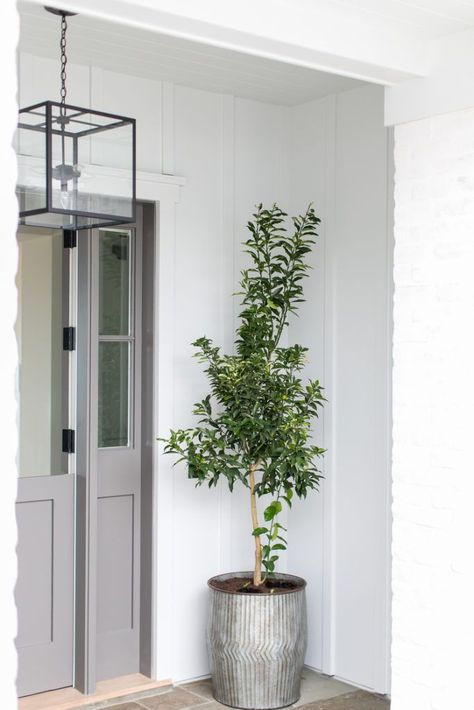 A simple small tree in a galvanized planter on a modern coastal front porch with a grey door. The house has white brick with white board and batten exterior and a black lantern pendant light. Front Porch Trees Planters, Front Porch Trees, Trees For Front Porch, Front Door Plant, Exterior Chandelier, Porch Chandelier, Front Porch Planter Ideas, Porch Planter Ideas, Fountain House