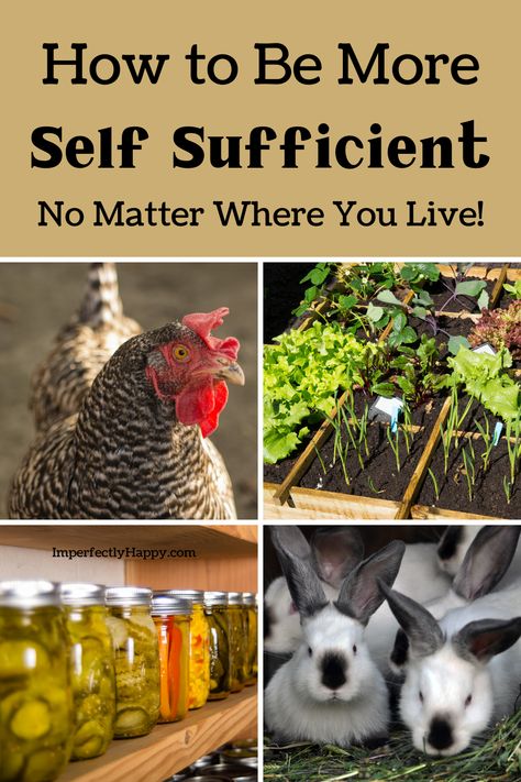 Self Sufficient Homestead, Self Sufficiency, Homesteading Skills, Self Sufficient, Urban Homesteading, Living Off The Land, Homestead Survival, Emergency Prepping, Hobby Farms